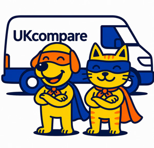van insurance